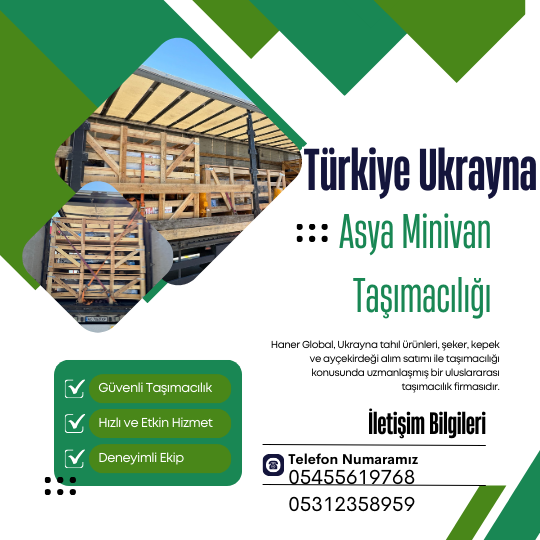 Avrupa Türkiye Asya minivan taşımacılığı